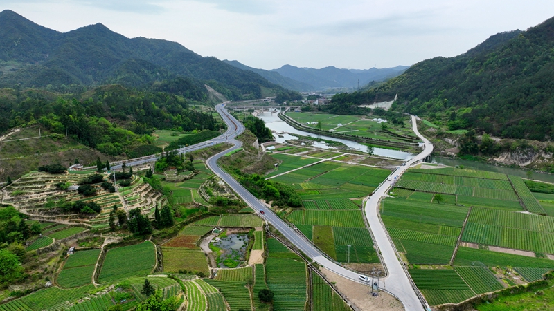 浙農(nóng)浙貝母、杭白菊基地通過中藥材GAP延伸檢查